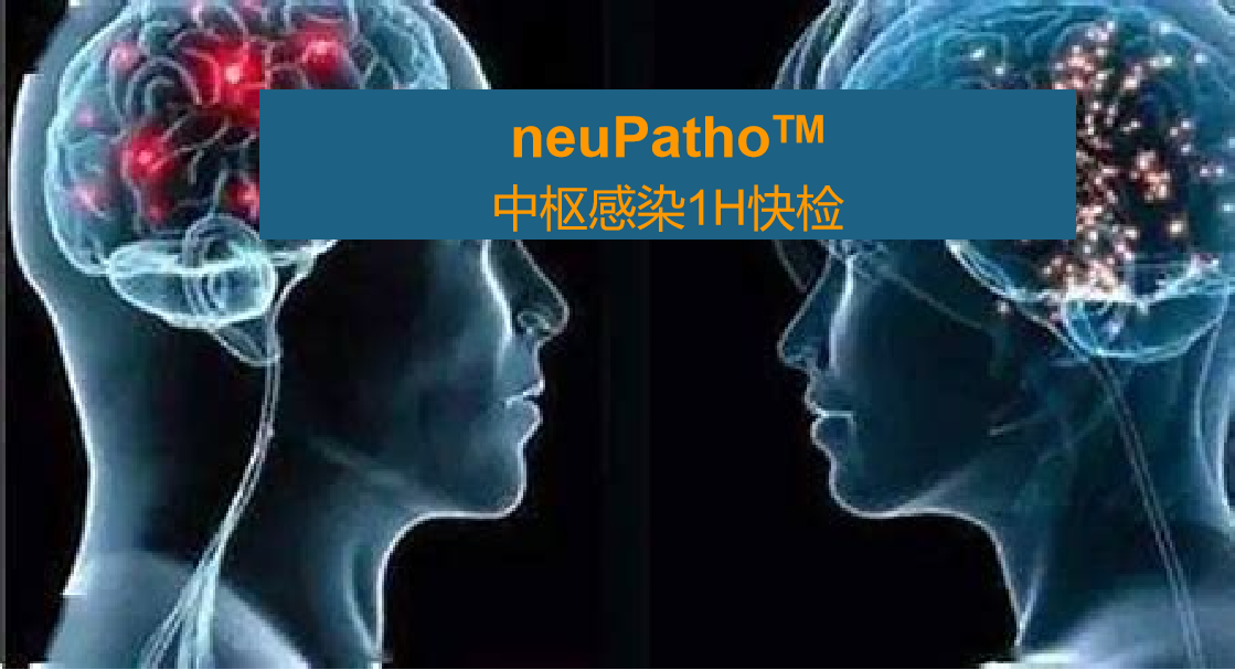 neuPatho，中枢感染病原谱