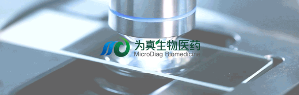 王莹院长领衔，王弢博士技术负责的研发项目获浙江省2024年度“尖兵”“领雁”研发攻关计划项目立项